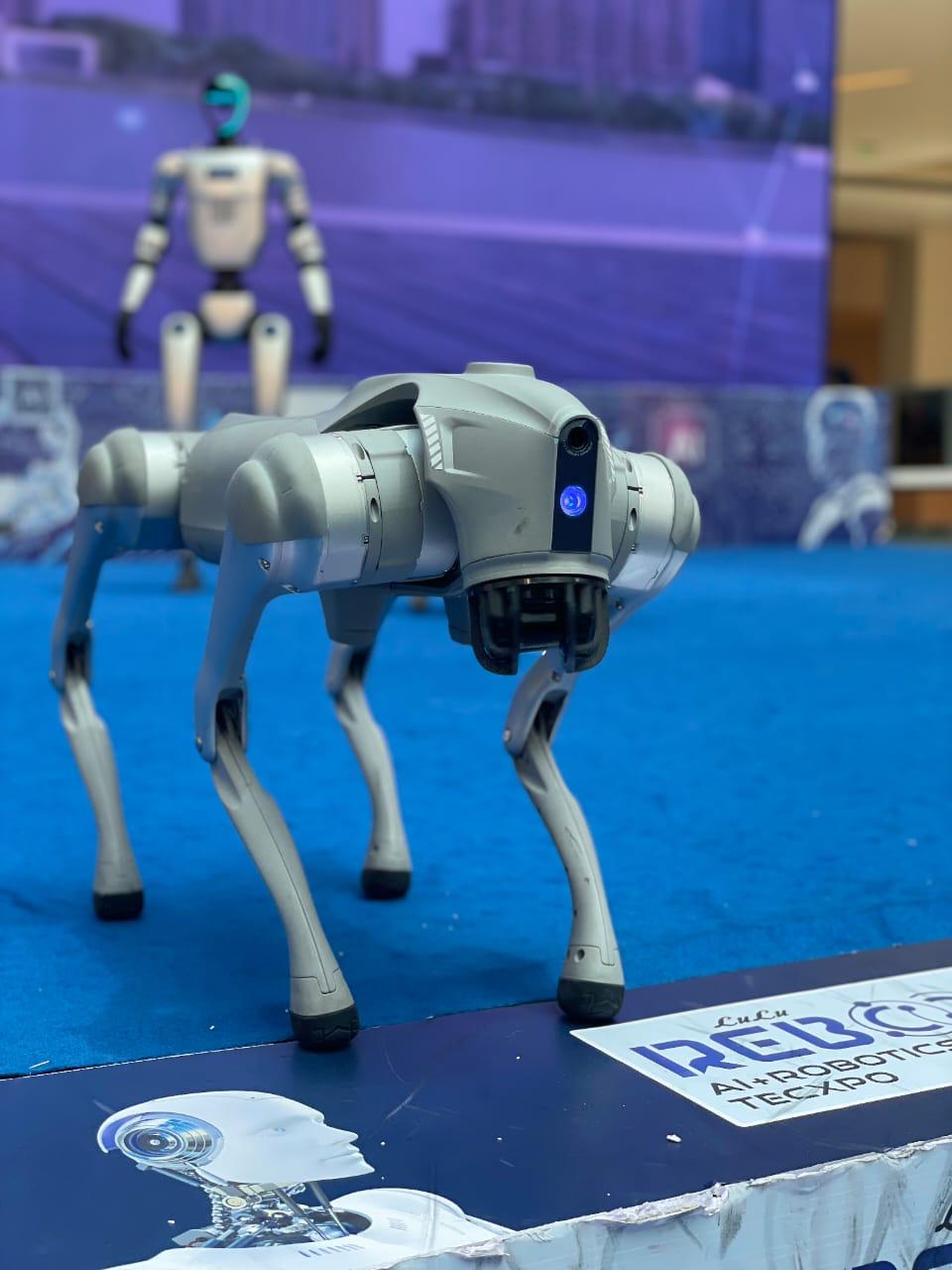 Dog Robot