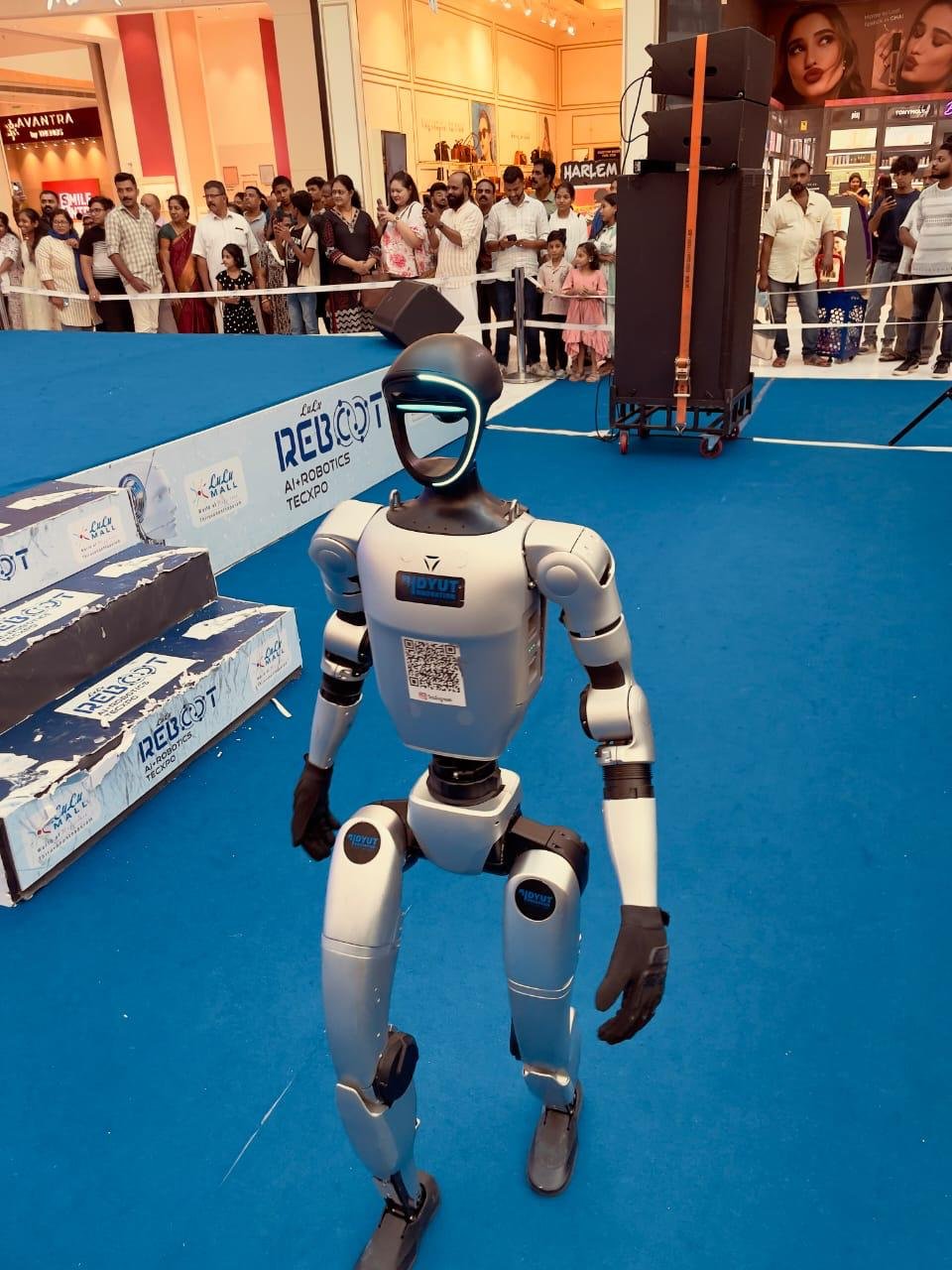 Humanoid Robot 2